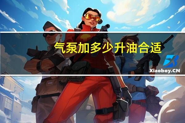 气泵加多少升油合适