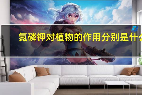 氮磷钾对植物的作用分别是什么