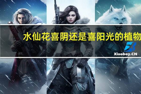 水仙花喜阴还是喜阳光的植物