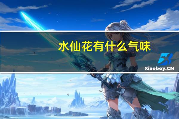 水仙花有什么气味（水仙花的气味是什么）