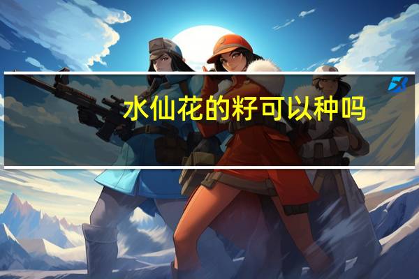 水仙花的籽可以种吗