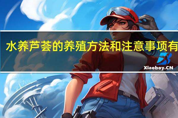 水养芦荟的养殖方法和注意事项有哪些