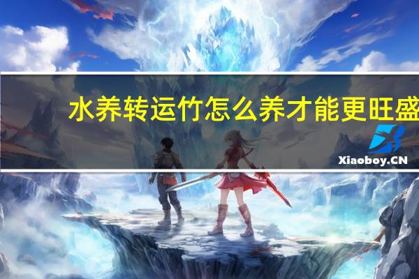 水养转运竹怎么养才能更旺盛