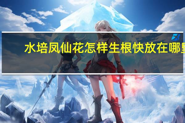 水培凤仙花怎样生根快放在哪里