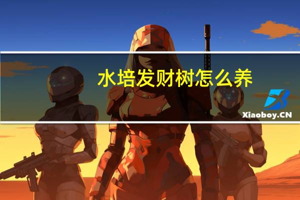水培发财树怎么养