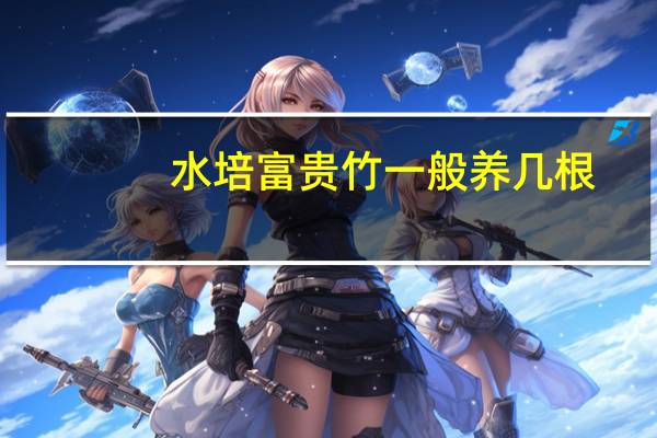 水培富贵竹一般养几根