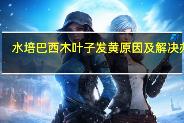 水培巴西木叶子发黄原因及解决办法