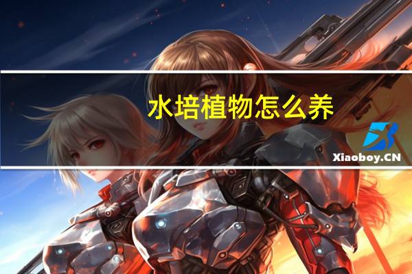 水培植物怎么养：六方面教您如何养殖水培植物