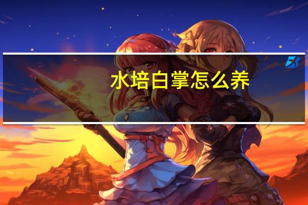 水培白掌怎么养