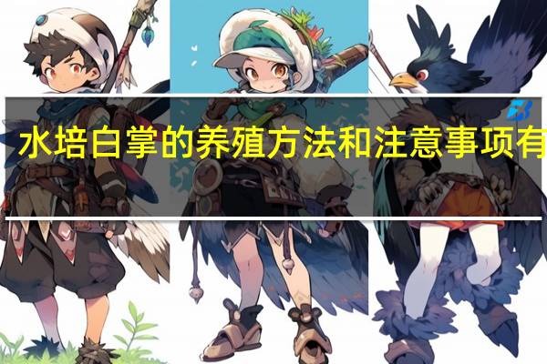 水培白掌的养殖方法和注意事项有哪些