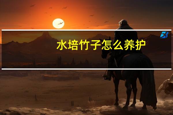水培竹子怎么养护