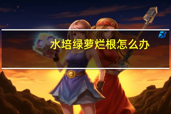 水培绿萝烂根怎么办