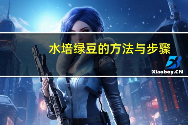水培绿豆的方法与步骤