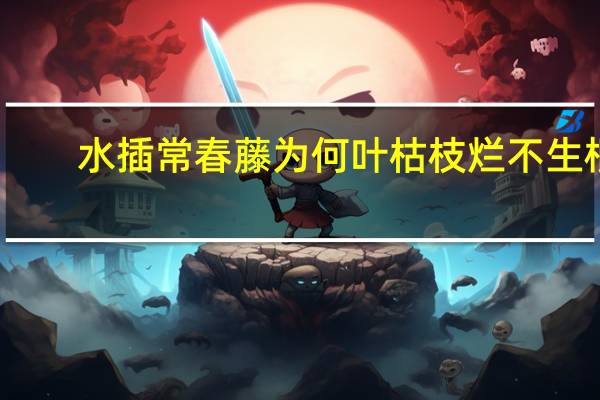 水插常春藤为何叶枯枝烂不生根