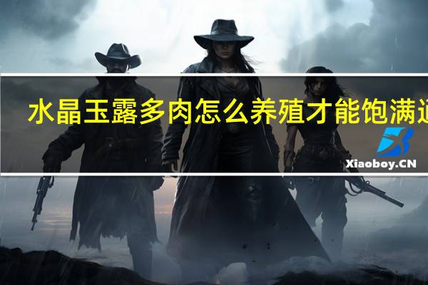 水晶玉露多肉怎么养殖才能饱满通透