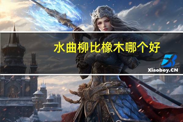 水曲柳比橡木哪个好（水曲柳和橡木纹理）