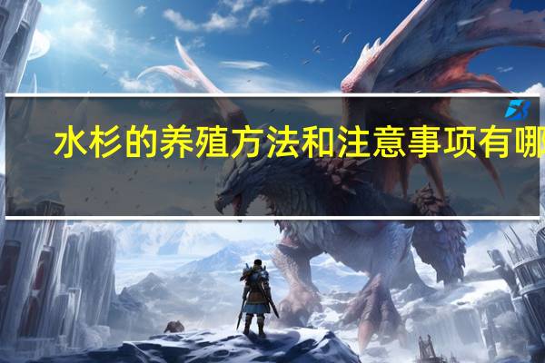 水杉的养殖方法和注意事项有哪些