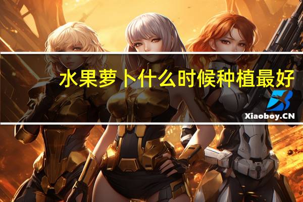 水果萝卜什么时候种植最好