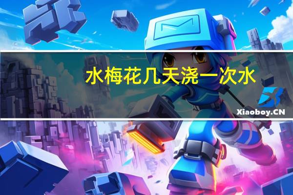 水梅花几天浇一次水