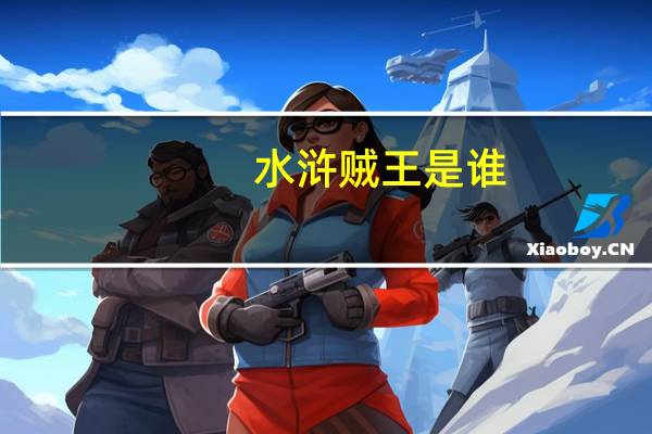 水浒贼王是谁（贼水浒简介）