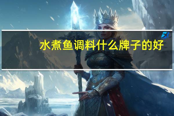 水煮鱼调料什么牌子的好