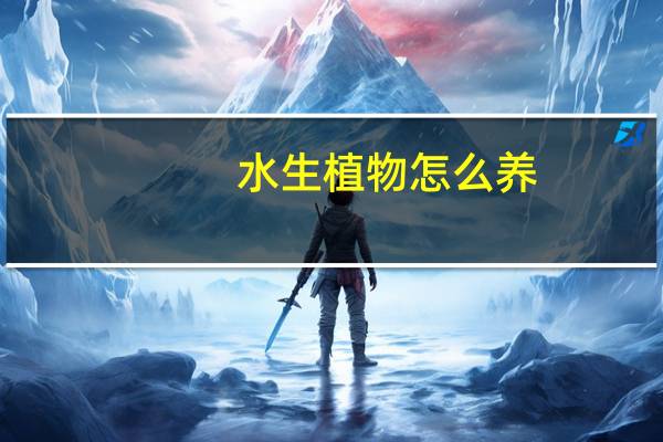 水生植物怎么养：经常注意水质变化
