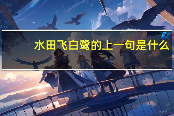 水田飞白鹭的上一句是什么