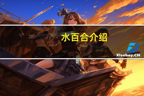 水百合介绍