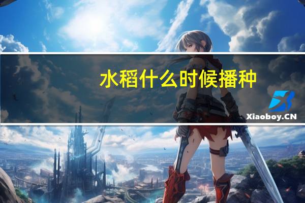 水稻什么时候播种：可分三季种植