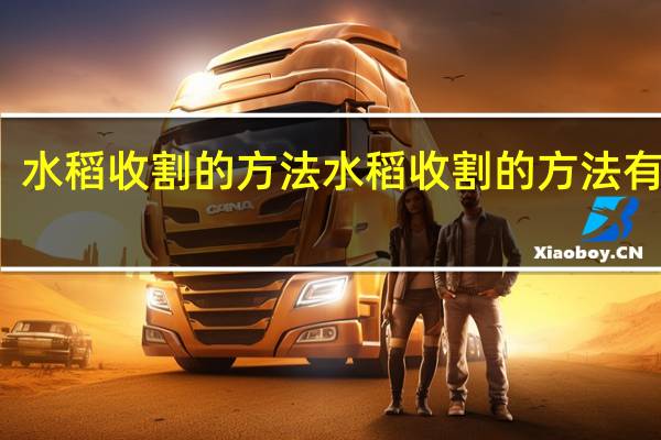 水稻收割的方法 水稻收割的方法有哪些