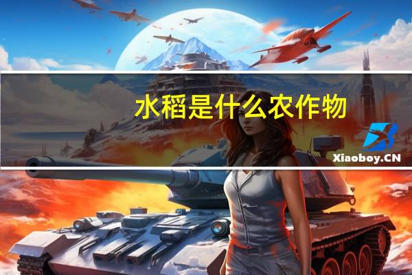水稻是什么农作物