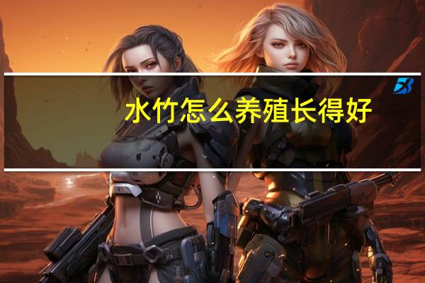 水竹怎么养殖长得好