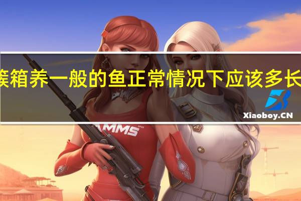 水簇箱养一般的鱼正常情况下应该多长时间换一