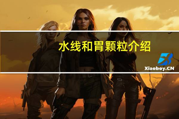 水线和胃颗粒介绍