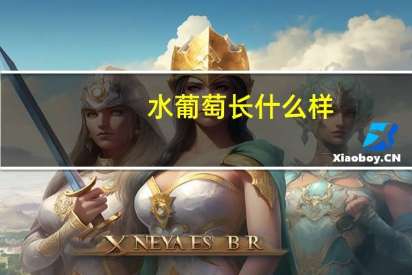 水葡萄长什么样（水葡萄）