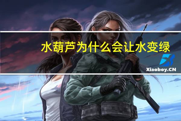 水葫芦为什么会让水变绿