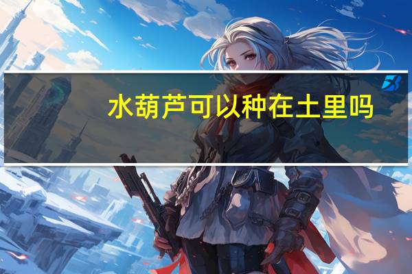 水葫芦可以种在土里吗