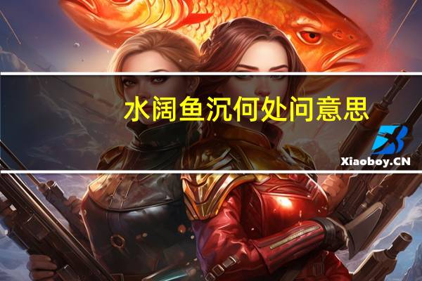 水阔鱼沉何处问意思