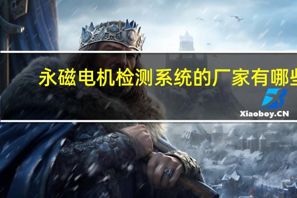 永磁电机检测系统的厂家有哪些