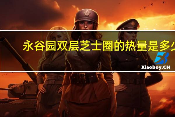 永谷园 双层芝士圈的热量是多少