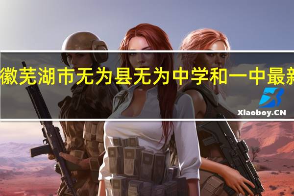 求安徽芜湖市无为县无为中学和一中最新的升学率