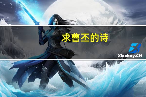 求曹丕的诗