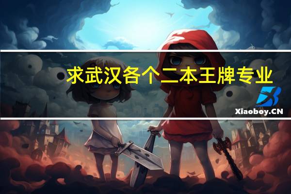 求武汉各个二本王牌专业,