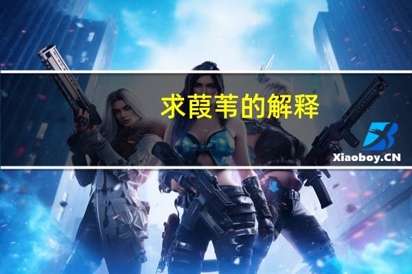 求葭苇的解释