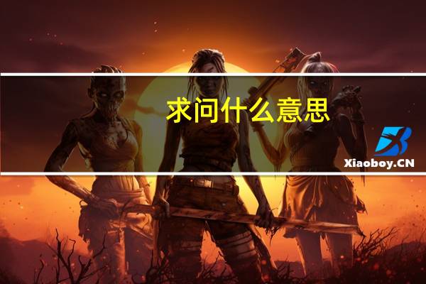 求问什么意思（请问的意思）
