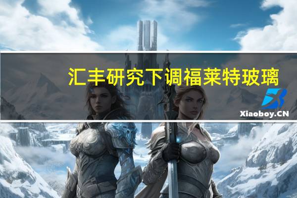 汇丰研究下调福莱特玻璃(06865.HK)目标价至29.2港元 评级买入