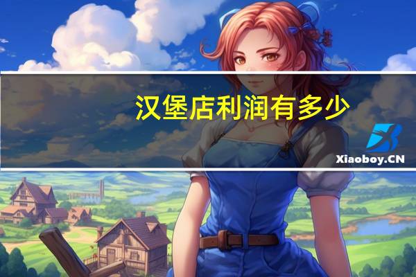 汉堡店利润有多少