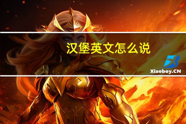 汉堡英文怎么说