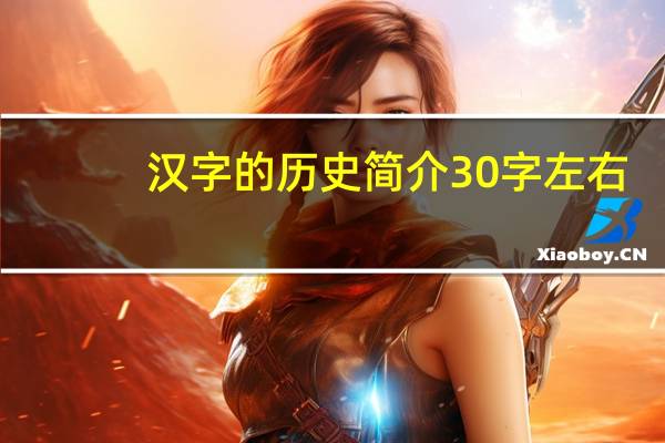 汉字的历史简介30字左右（汉字的历史简介）