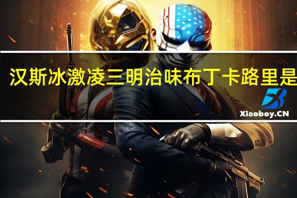 汉斯 冰激凌三明治味布丁卡路里是多少